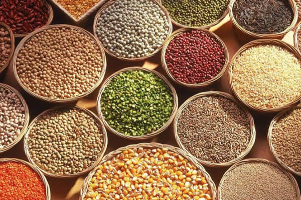 Agro Products